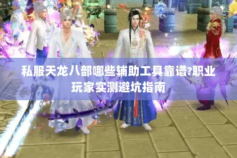 私服天龙八部哪些辅助工具靠谱?职业玩家实测避坑指南