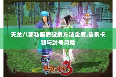 天龙八部私服盾破解方法全解,告别卡顿与封号风险