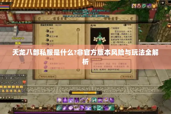 天龙八部私服是什么?非官方版本风险与玩法全解析