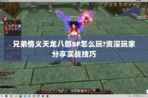 兄弟情义天龙八部SF怎么玩?资深玩家分享实战技巧