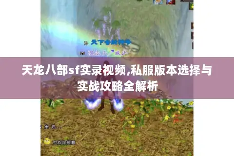 天龙八部sf实录视频,私服版本选择与实战攻略全解析 天龙八部sf实录视频,私服版本选择与实战攻略全解析