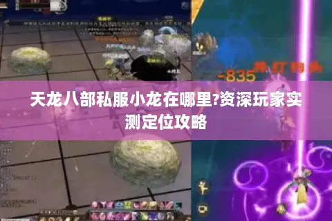 天龙八部私服小龙在哪里?资深玩家实测定位攻略 天龙八部私服小龙在哪里?资深玩家实测定位攻略