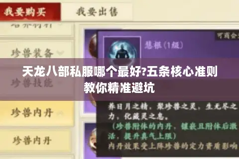 天龙八部私服哪个最好?五条核心准则教你精准避坑 天龙八部私服哪个最好?五条核心准则教你精准避坑