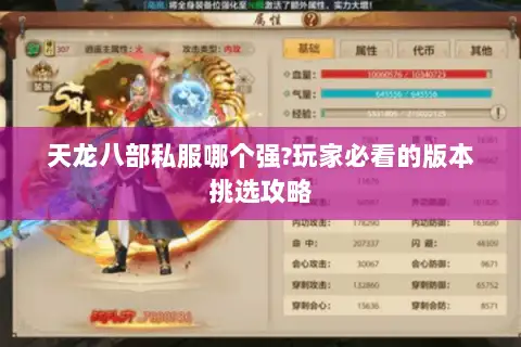 天龙八部私服哪个强?玩家必看的版本挑选攻略 天龙八部私服哪个强?玩家必看的版本挑选攻略