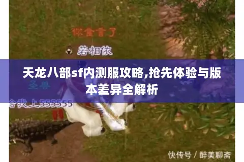 天龙八部sf内测服攻略,抢先体验与版本差异全解析