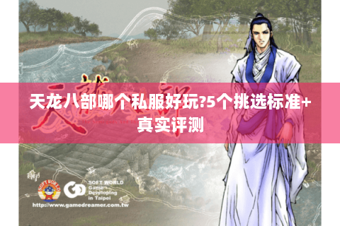 天龙八部哪个私服好玩?5个挑选标准+真实评测