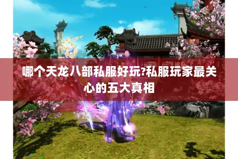 哪个天龙八部私服好玩?私服玩家最关心的五大真相