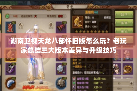 湖南卫视天龙八部怀旧版怎么玩？老玩家总结三大版本差异与升级技巧