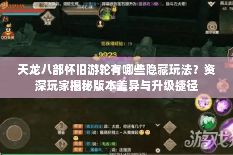 天龙八部怀旧游轮有哪些隐藏玩法？资深玩家揭秘版本差异与升级捷径